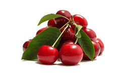 Naravno pridobljen Vitamin C 
