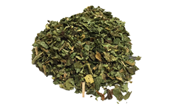 Navadna brogovita